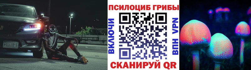 Псилоцибиновые грибы GOLDEN TEACHER  Неман 