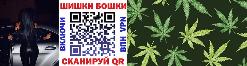 Бошки Шишки ГИДРОПОН  Неман 